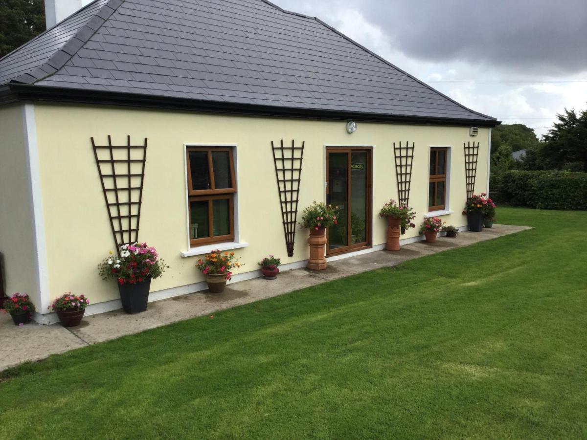 Rose Cottage Westport Exterior foto